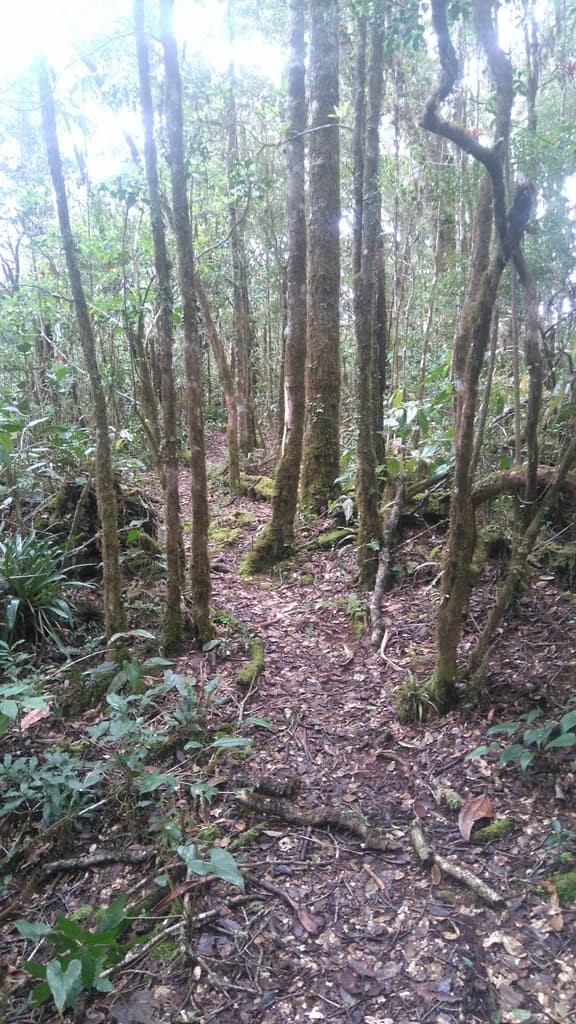 Travel photo 22
