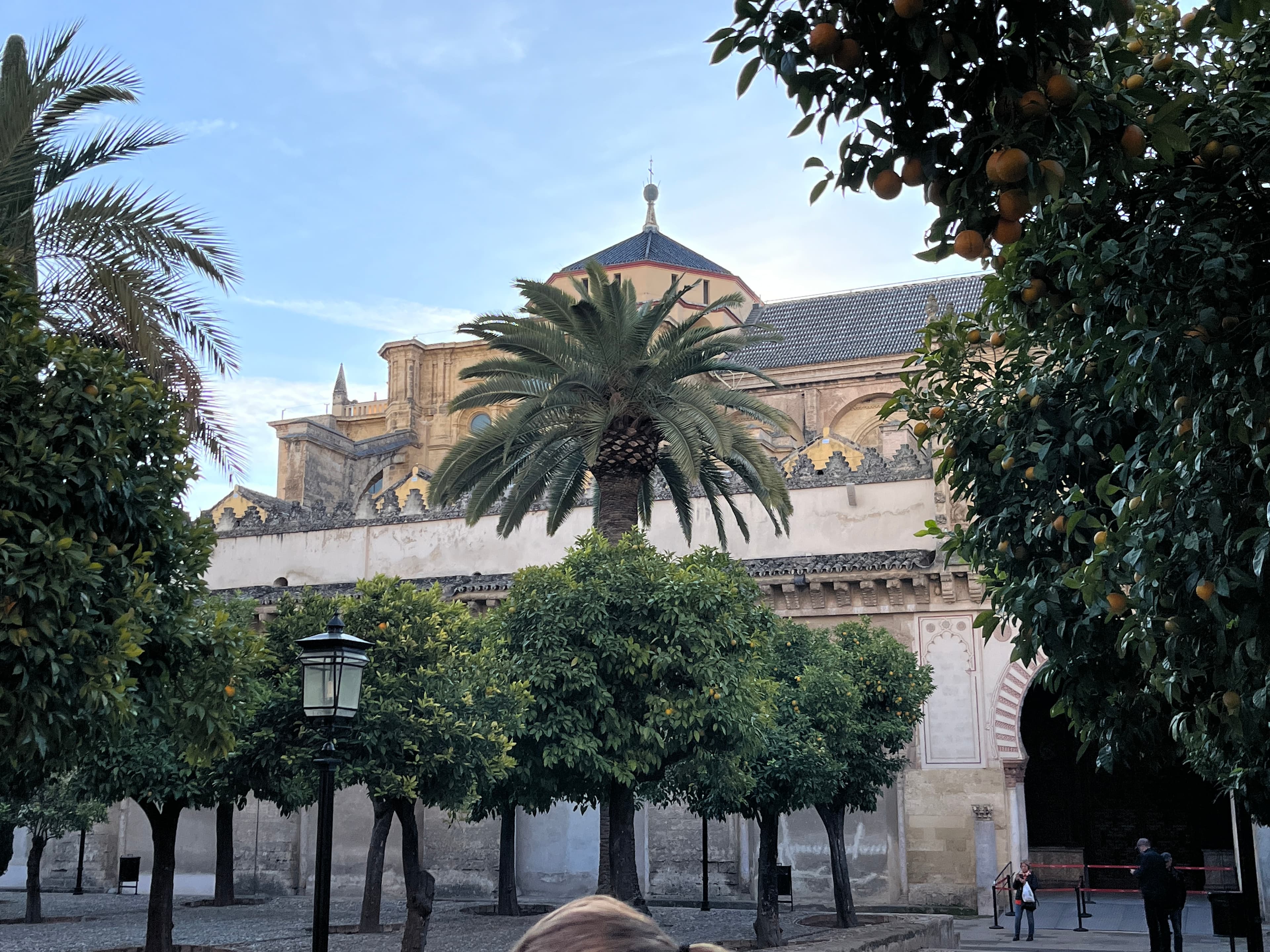 Travel photo 4